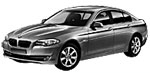 BMW F10 P0A29 Fault Code